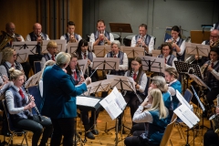 2018_12_02-195016_mafekoMEDIA_IMG_0075